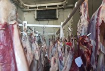 ضرورت سرمایه گذاری برای احداث کشتارگاه صنعتی دام در شهرستان سلسله