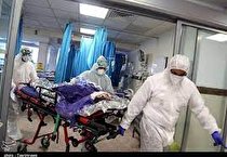 تعداد مبتلایان در حال افزایش است/ مراسمات عزا و عروسی و دورهمی ها مهمترین عامل افزایش مبتلایان