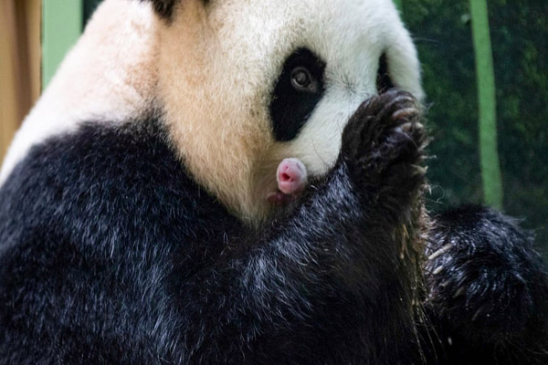 ماجرای هولناک پیدا شدن بیش از 50 جنازه در رودخانه (گزارش تصویری)