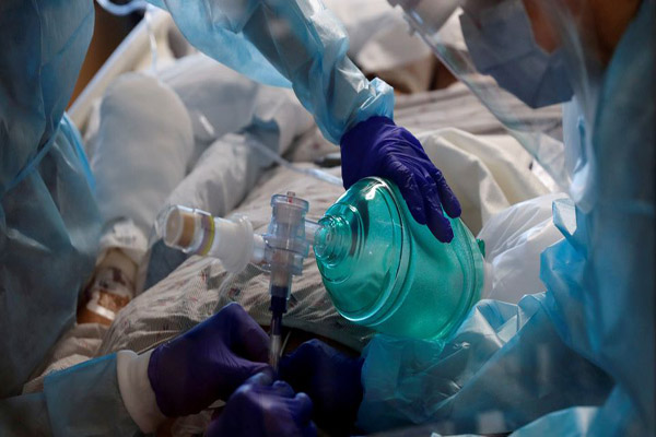 پرنده کوچک، به دنبال شکار عقاب / پلنگی که کرونا گرفت (تصاویر)