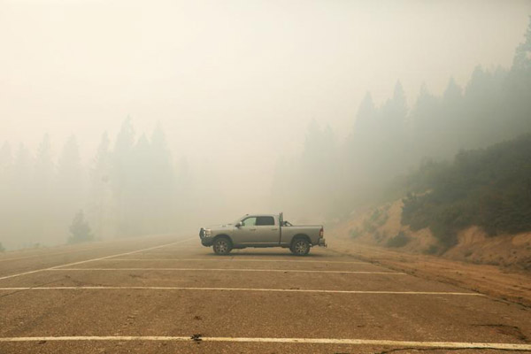 پرنده کوچک، به دنبال شکار عقاب / پلنگی که کرونا گرفت (تصاویر)