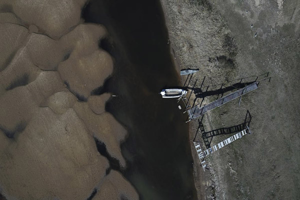 ببر قاتل، زن جوان را کشت (تصاویر)