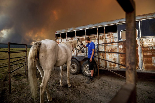 عکس های برگزیده حیات وحش (گزارش تصویری)