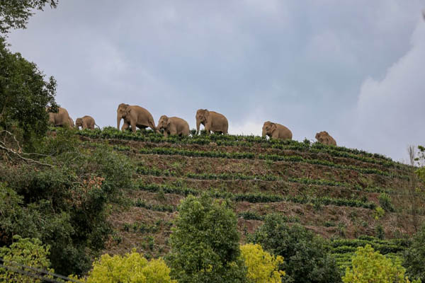 عمو سام هم ضدواکسن شد / کار بسیار خطرناک دو عکاس (تصاویر)