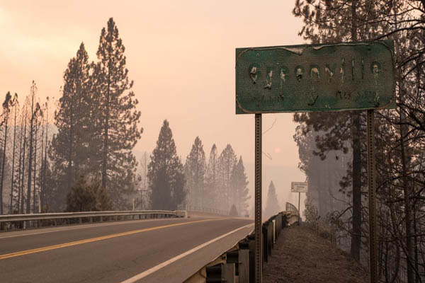 عمو سام هم ضدواکسن شد / کار بسیار خطرناک دو عکاس (تصاویر)