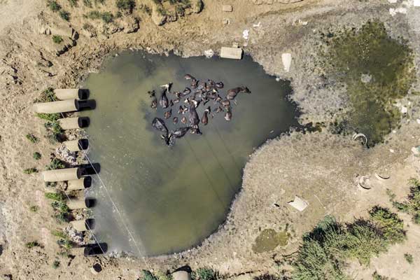 داستـان بی‌ آبی مردمان آبدیده