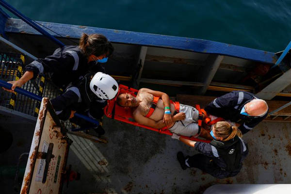 فیل های خبرساز / جنگلی که کامل سوخت (گزارش تصویری)