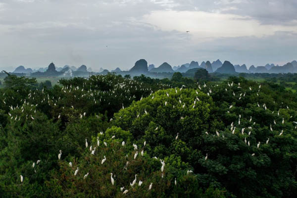 حمله به خانه مهاجران / محل یک جنایت وحشیانه (گزارش تصویری) حمله به خانه مهاجران / محل یک جنایت وحشیانه (گزارش تصویری)