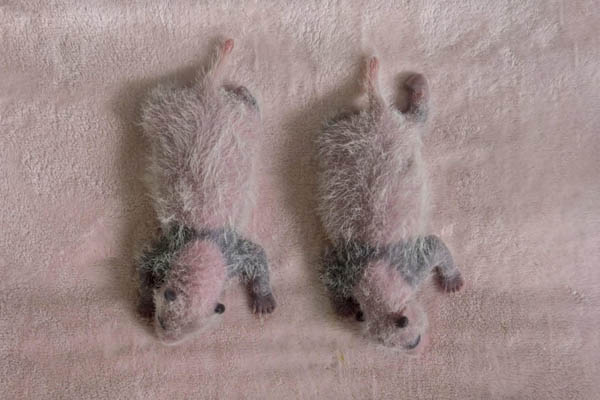 حمله به خانه مهاجران / محل یک جنایت وحشیانه (گزارش تصویری) حمله به خانه مهاجران / محل یک جنایت وحشیانه (گزارش تصویری)