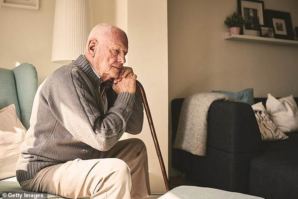 ماجرای دسته گل باستانی / بازگشت زنبور قاتل ماجرای دسته گل باستانی / بازگشت زنبور قاتل