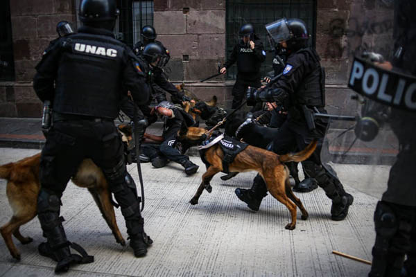 لحظات برگزیده 24 ساعت اخیر (تصاویر) لحظات برگزیده 24 ساعت اخیر (تصاویر)