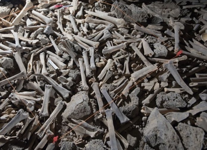 کشف مخفیگاه استخوان در غار مخوف عربستان سعودی