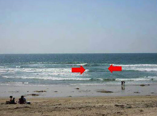 قاتل اصلی شناگران در خزر چیست؟