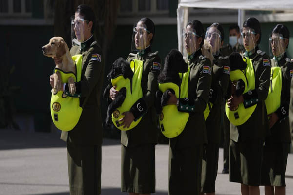 عبور دادن یک نوزاد افغان از دیوار فرودگاه کابل (گزارش تصویری)