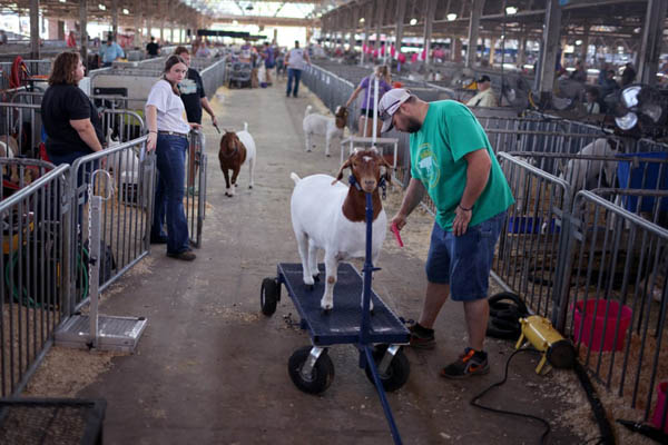 عبور دادن یک نوزاد افغان از دیوار فرودگاه کابل (گزارش تصویری)