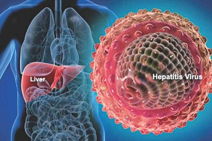 کارشناس مسئول تجویز و مصرف منطقی دارو، در مورد انواع هپاتیت ها و نحوه ابتلا به آنها، توضیحاتی ارائه داد.