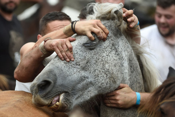 لحظات جذاب خبری و غیرخبری در شبانه روز اخیر (گزارش تصویری)