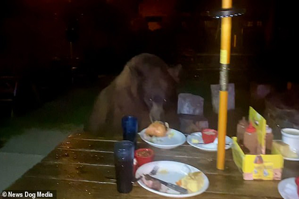 لحظات جذاب خبری و غیرخبری در شبانه روز اخیر (گزارش تصویری)