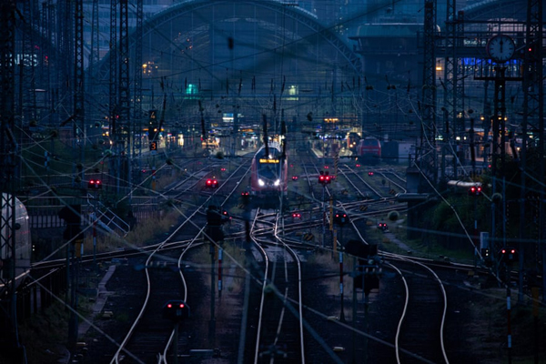 نمایش جمجمه 66 میلیون ساله (گزارش تصویری)