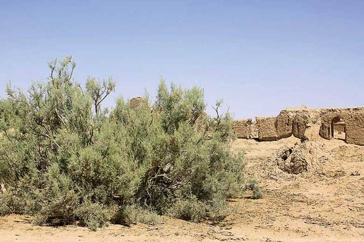 پاییز خشک دیگری در راه است. این گزاره می‌تواند در آوار اخبار تلخ این روزها اتفاقی معمولی باشد که حالا از زبان رئیس مرکز ملی خشکسالی و مدیریت بحران سازمان هواشناسی اعلام شده، اما این ظاهر ماجراست و آنچه پشت این خبر به ظاهر معمولی نهفته حکایت از اتفاقات سیاه‌تری دارد.