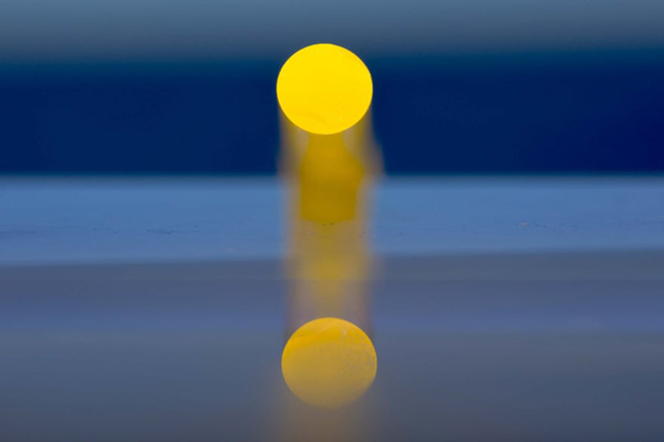 لحظات مهم خبری و غیرخبری اخیر در سراسر جهان (گزارش تصویری) لحظات مهم خبری و غیرخبری اخیر در سراسر جهان (گزارش تصویری)