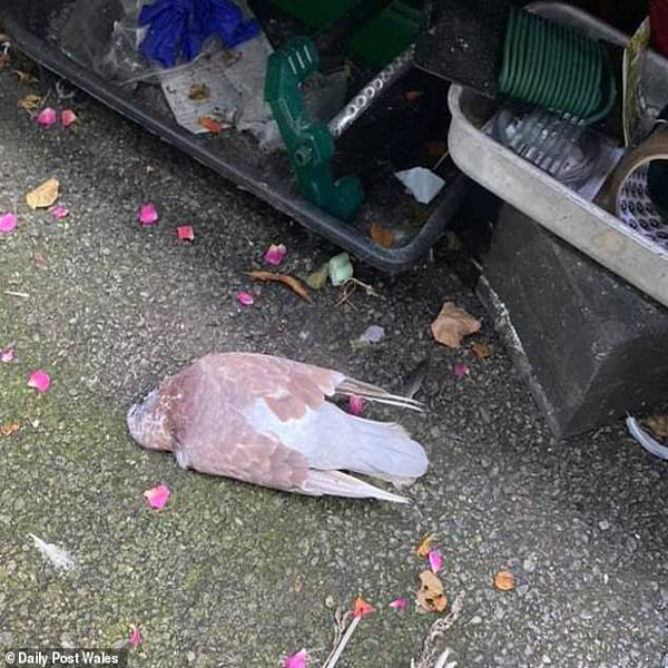 لحظات مهم خبری و غیرخبری اخیر در سراسر جهان (تصاویر)