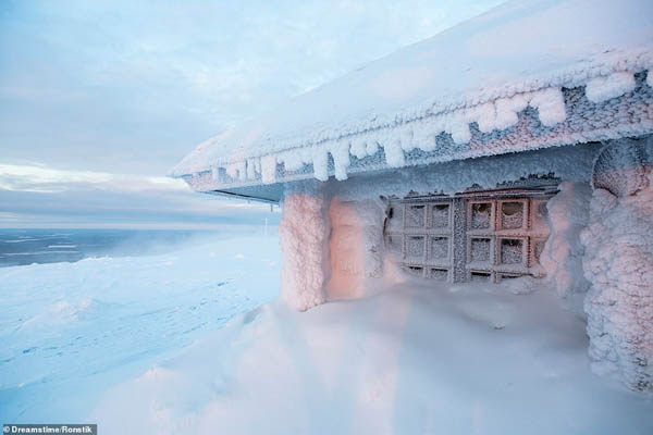 قطب شمال چه شکلی است؟ (گزارش تصویری)