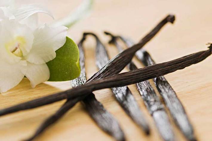 با شنیدن اسم وانیل ممکن است عطر کیک وانیلی و طعم دلچسب بستنی وانیلی در ذهنتان تداعی شود؛ اما باید بدانید وانیل علاوه بر عطر و طعم، دارای ارزش غذایی بالایی است و فواید زیادی برای سلامتی پوست و مو دارد.