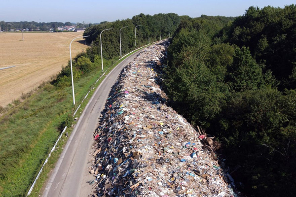 تنهایی یک خرس قطبی غمگین (گزارش تصویری)