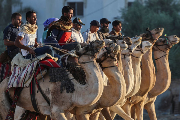 کشتار بی رحمانه و خونین 1500 دلفین (گزارش تصویری)