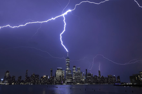 کشتار بی رحمانه و خونین 1500 دلفین (گزارش تصویری)