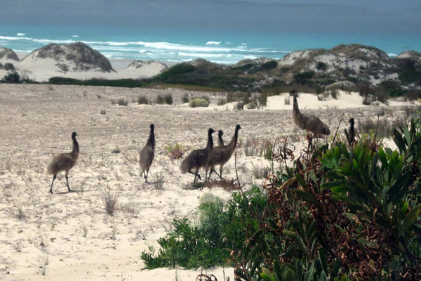تصاویر برگزیده حیات وحش و محیط زیست در هفته اخیر (گزارش تصویری) تصاویر برگزیده حیات وحش و محیط زیست در هفته اخیر (گزارش تصویری)