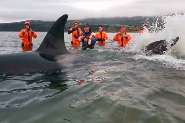 تصاویر برگزیده حیات وحش و محیط زیست در هفته اخیر (گزارش تصویری) تصاویر برگزیده حیات وحش و محیط زیست در هفته اخیر (گزارش تصویری)