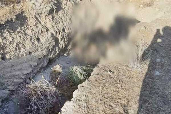 اعتراف پسرعمه به قتل پسردایی 12ساله (+عکس) اعتراف پسرعمه به قتل پسردایی 12ساله (+عکس)