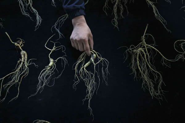 لحظات برگزیده اخیر در سراسر جهان (گزارش تصویری)