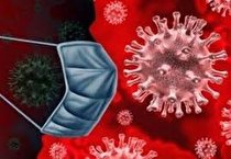 رکورد بیماران بستری کرونا در استان شکسته شد