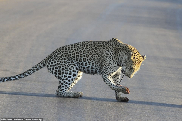 تصاویر مهم 24 ساعت اخیر (تصاویر)