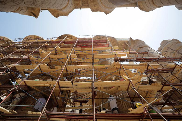 حیوانی که آنتی بادی کرونا دارد (گزارش تصویری) حیوانی که آنتی بادی کرونا دارد (گزارش تصویری)