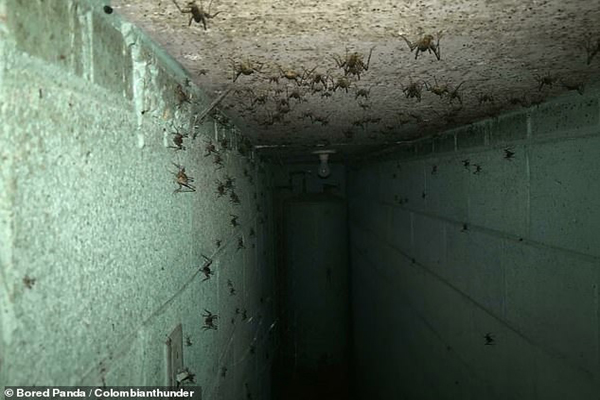 عکس های ترسناکی که مردم به طور اتفاقی گرفته اند! (گزارش تصویری) عکس های ترسناکی که مردم به طور اتفاقی گرفته اند! (گزارش تصویری)