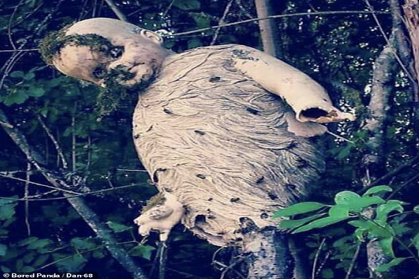 عکس های ترسناکی که مردم به طور اتفاقی گرفته اند! (گزارش تصویری) عکس های ترسناکی که مردم به طور اتفاقی گرفته اند! (گزارش تصویری)