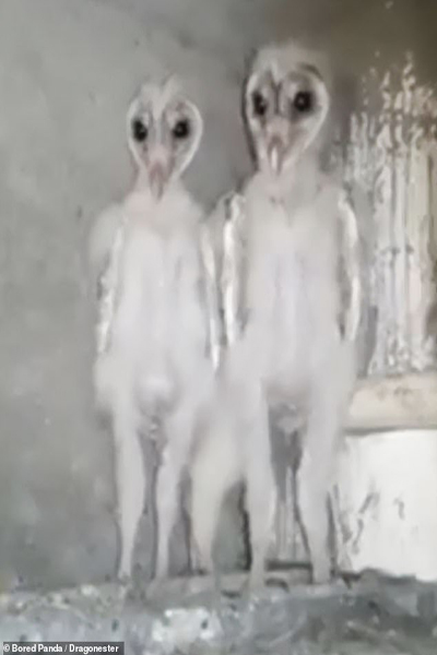 عکس های ترسناکی که مردم به طور اتفاقی گرفته اند! (گزارش تصویری) عکس های ترسناکی که مردم به طور اتفاقی گرفته اند! (گزارش تصویری)