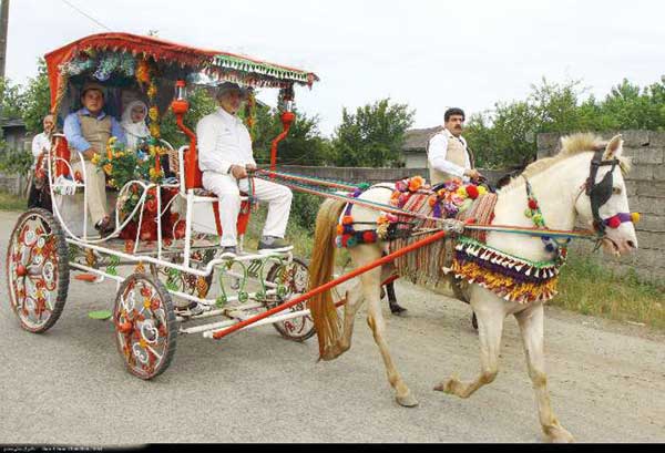 ای شاخ تر به رقص آ (+عکس)