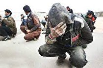 عمده سارقان در کرمانشاه “معتادان متجاهر” هستند/ ۵۰۰ سارقِ حرفه‌ای داریم