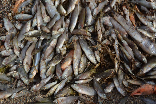 مرور آنچه سراسر جهان می گذرد (گزارش تصویری) مرور آنچه سراسر جهان می گذرد (گزارش تصویری)