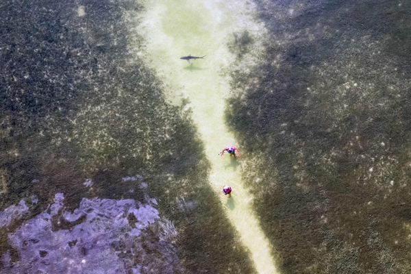 مرور آنچه سراسر جهان می گذرد (گزارش تصویری) مرور آنچه سراسر جهان می گذرد (گزارش تصویری)