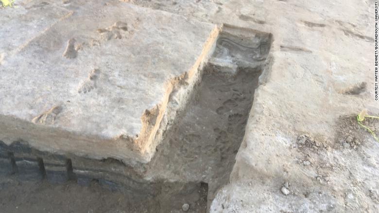 ردپاي 20 هزار ساله انسان!