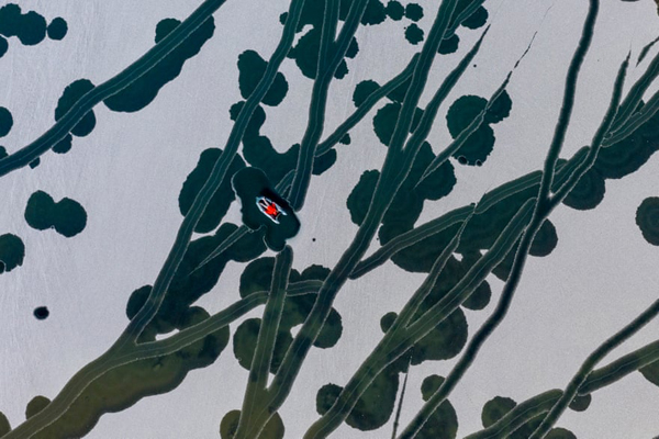 برگزیده های مسابقه عکاسی با موضوع «آب و هوا» در سال 2021 (گزارش تصویری)