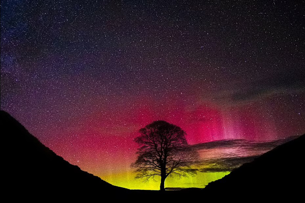 این پدیده زیبای طبیعی چیست؟ (تصاویر) این پدیده زیبای طبیعی چیست؟ (تصاویر)