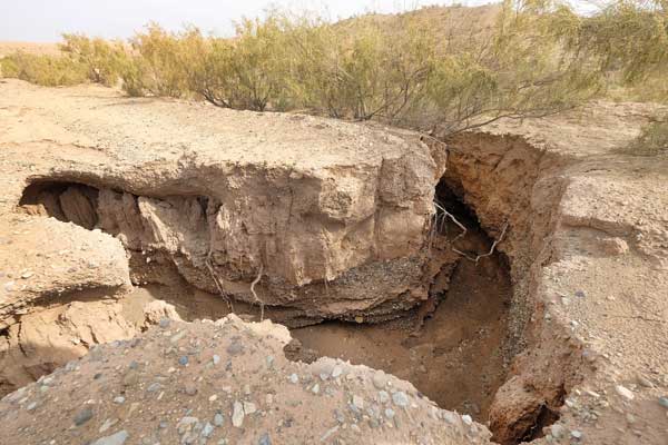 یک نشست خطرناک (+عکس)