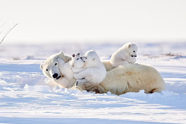 تصاویر خبری و غیرخبری جالب شبانه روز اخیر‌(گزارش تصویری)